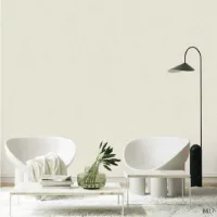 Wallking Joinous