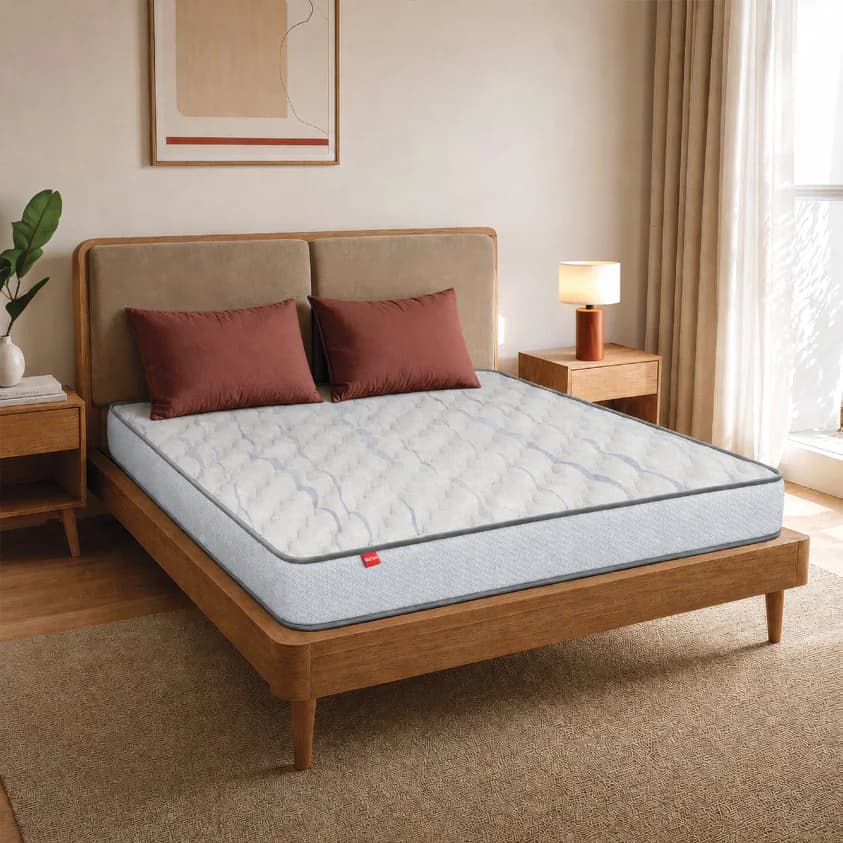 Kurlon Easy Plus Premium