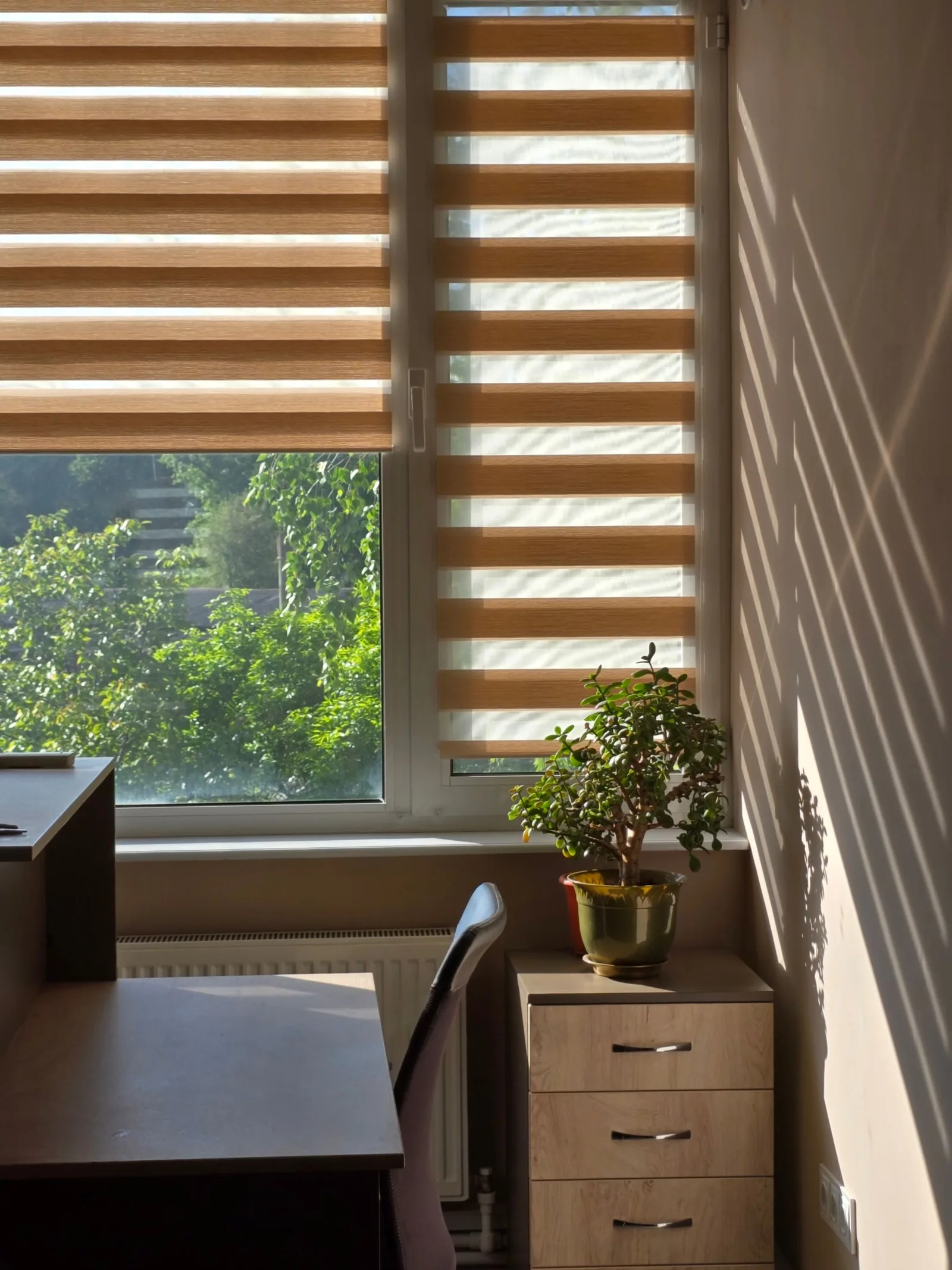Arthos Zebra Blinds